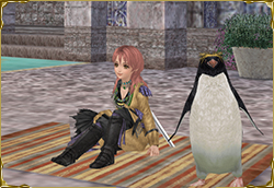 バザールペット