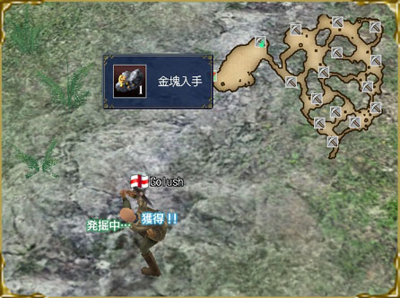 �����ȯ������