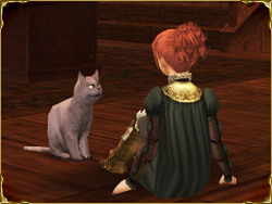 ���ѥ륿����